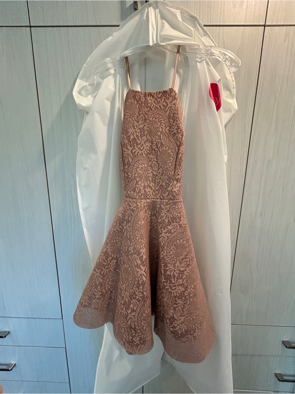 Lace Fit-and-Flare Mini Dress in Blush Pink - Picture 2 of 5